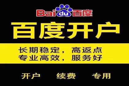 竞价推广实战：成功案例背后的技巧揭秘